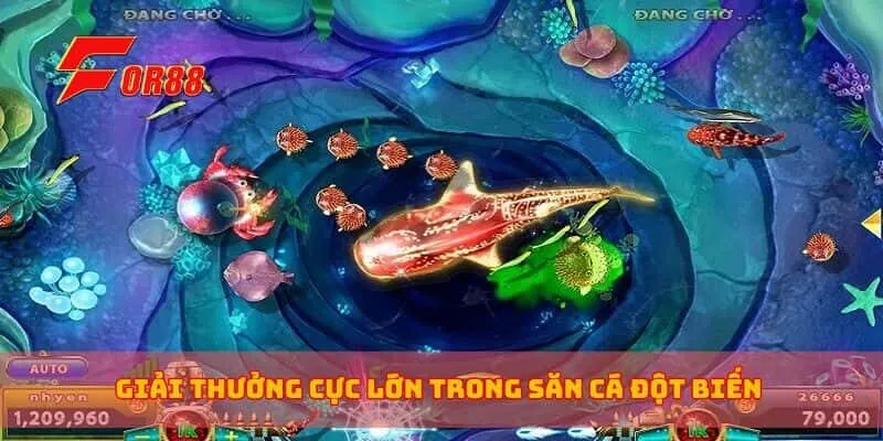 Giải thưởng cực lớn trong săn cá đột biến