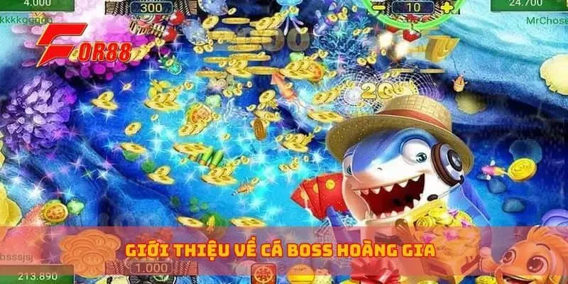 Giới thiệu về cá boss hoàng gia